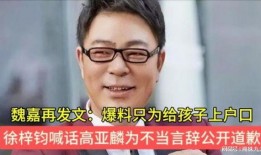 魏嘉的爆料视频在哪里可以看到,魏嘉爆料视频完整版在线观看地址及精彩内容概述